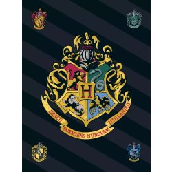 Harry Potter  takaró Csíkos Logo