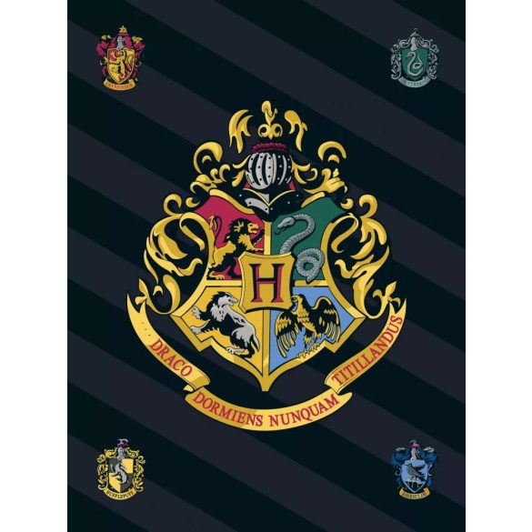 Harry Potter  takaró Csíkos Logo