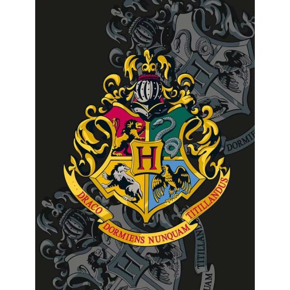 Harry Potter Logo polár takaró
